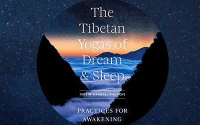 Meditação e Estudo do livro Yogas Tibetanos dos Sonhos e do Sono
